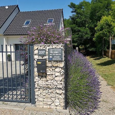 Ubytovani Tri Vrby Pasohlávky Exterior foto