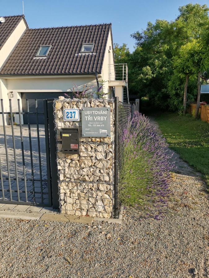 Ubytovani Tri Vrby Pasohlávky Exterior foto