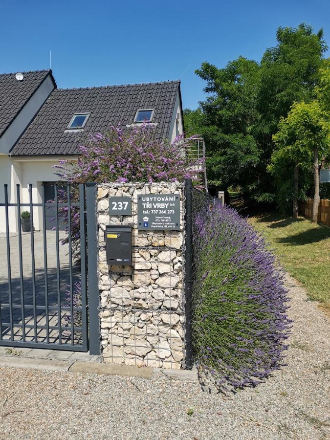 Ubytovani Tri Vrby Pasohlávky Exterior foto